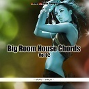 Big Room House Chords Vol 2