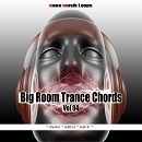 Big Room Trance Chords Vol 4