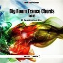Big Room Trance Chords Vol 5