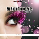 Big Room Trance Pads