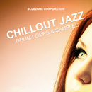 Chillout Jazz: Drum Loops & Samples