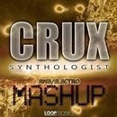 Crux Synthologist: RnB Electro Mashup