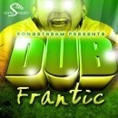 Dubstep Frantic
