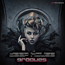 Deep House Grooves