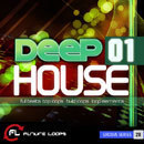 Deep House 01
