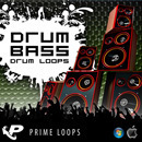Drum 'n' Bass Drum Loops (Multi-Format)