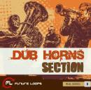 Dub Horns Section