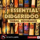 Essential Didgeridoo: Tribal Resonance