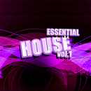 Essential House