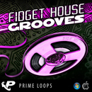 Fidget House Grooves (Multi-Format)