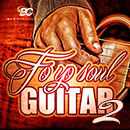 Fo Yo Soul Guitar 2