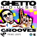 Ghetto House Grooves (Multi-Format)