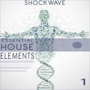 Essential House Elements Vol 1 