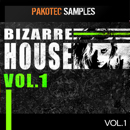 Bizarre House Vol 1
