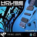 House Guitar Loops 2 (Multi-Format)