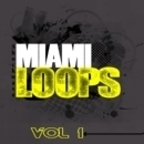 Miami Loops Vol 1