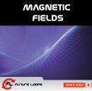 Magnetic Fields