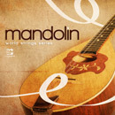 World String Series: Mandonlin