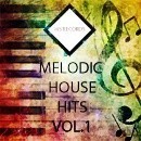 Melodic House Hits Vol 1