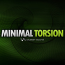 Minimal Torsion