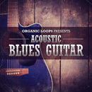 Acoustic Blues Guitar