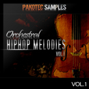 Orchestral Hip Hop Melodies Vol 1