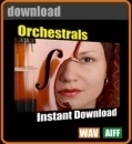 Orchestrals - Symphonic Orchestra Loops