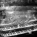 Organ Of Soul 5