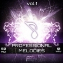 Professional Melodies Vol 1