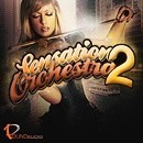Sensation Orchestra 2