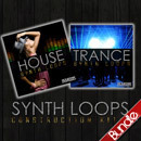 Synth Loops Bundle