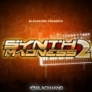 Synth Madness 2