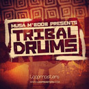 Musa M'Boob Tribal Drums