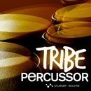 Tribe Percussor