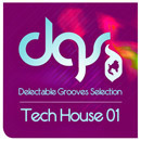 Tech House 01
