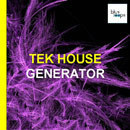 Tek House Generator