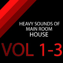 Heavy Sounds of Main Room House (Vols 1-3)