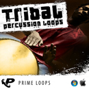 Tribal Percussion Loops (Multi Format)