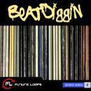 Beatdiggin