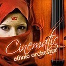 Cinematic Ethnic Orchestra 