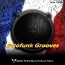 Matteo Pellino Ectofunk Grooves