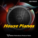 Matteo Pellino: House Pianos
