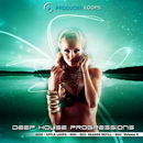 Deep House Progressions Vol 4