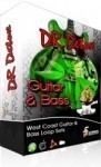 Dr. Detox Guitar and Bass Loops