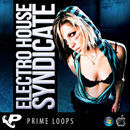 Electro House Syndicate