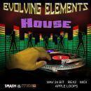 Evolving Elements: House