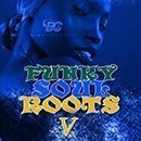 Funky Soul Roots 5