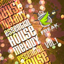 Essential House Melody Vol 1