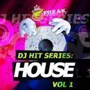DJ Hit Series: House Vol 1