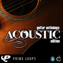 Guitar Anthology: Acoustic Edition (Multi-Format)